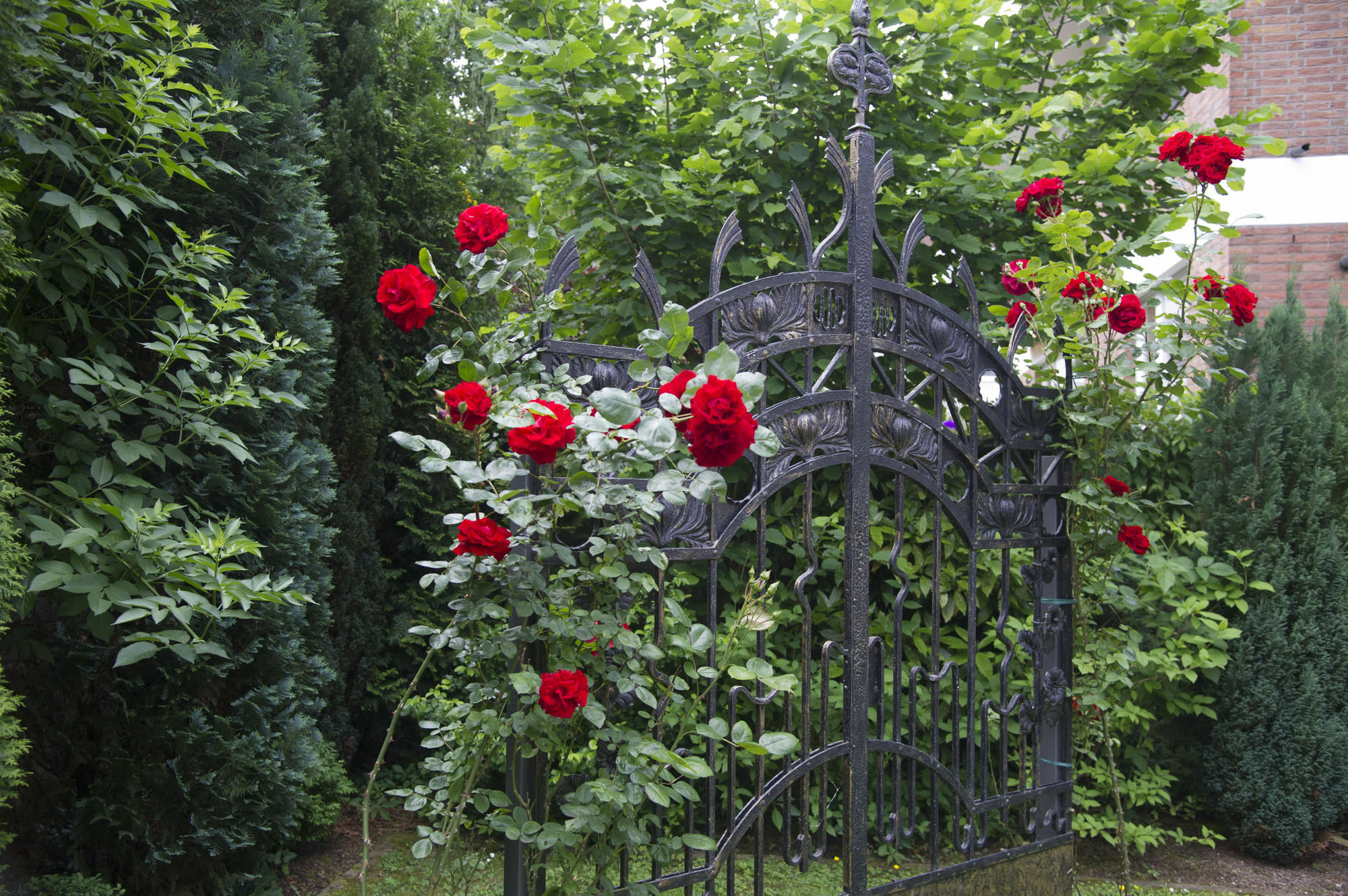 Boutiquehotel Dreesen - Villa Godesberg بون المظهر الخارجي الصورة